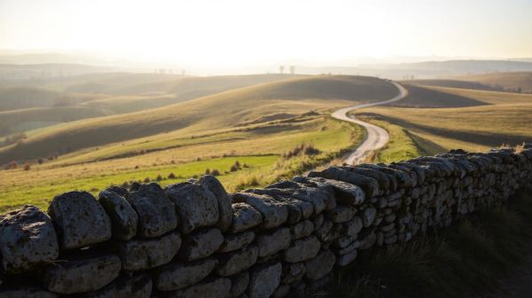 Top ressources pour naviguer l'ENT dans les Hauts-de-France