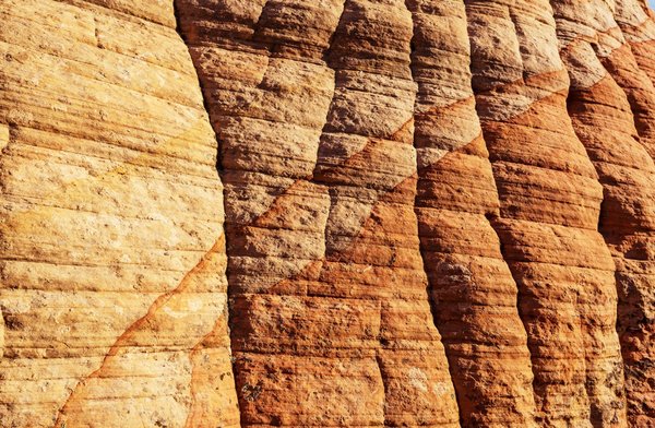 Formation spécialisée en santé et sécurité au travail : Guide essentiel pour agents et collectivités territoriales